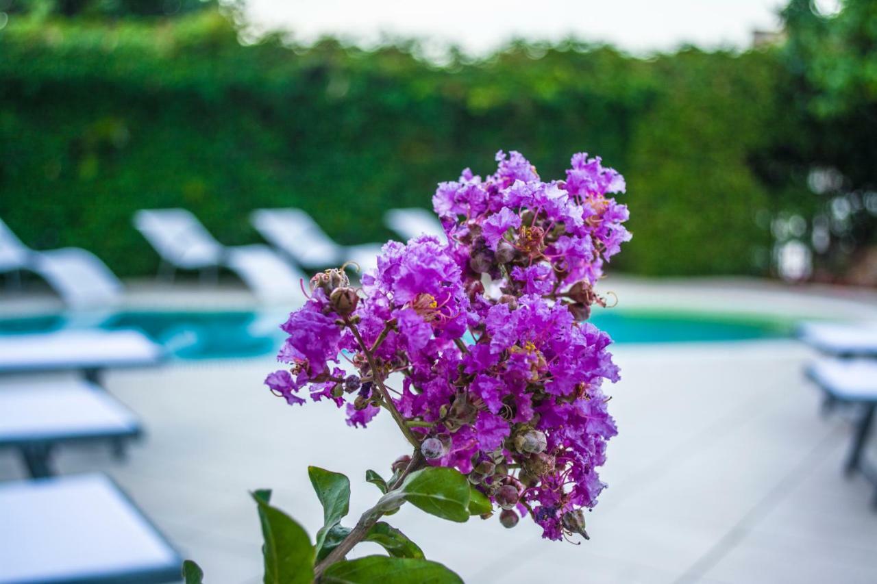 Villa Marylu' Ischia Ngoại thất bức ảnh